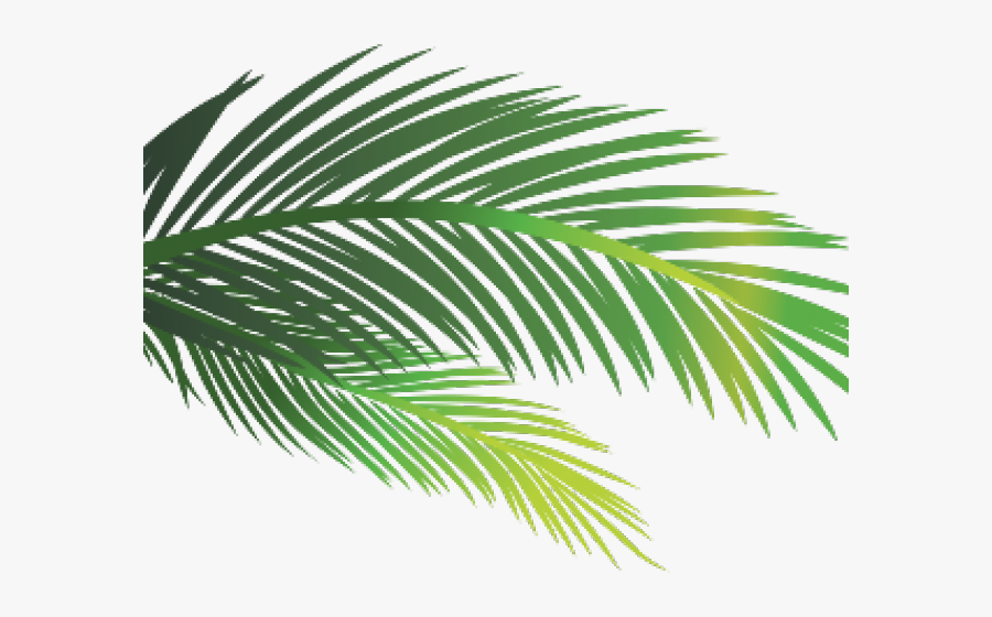 Sauna Clipart Palm Tree, Transparent Clipart