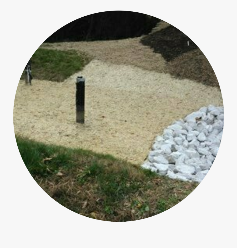 Img 20190 3 - Grass, Transparent Clipart