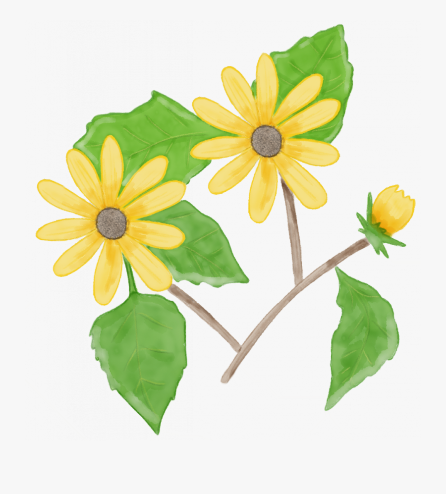 Sunflower, Transparent Clipart