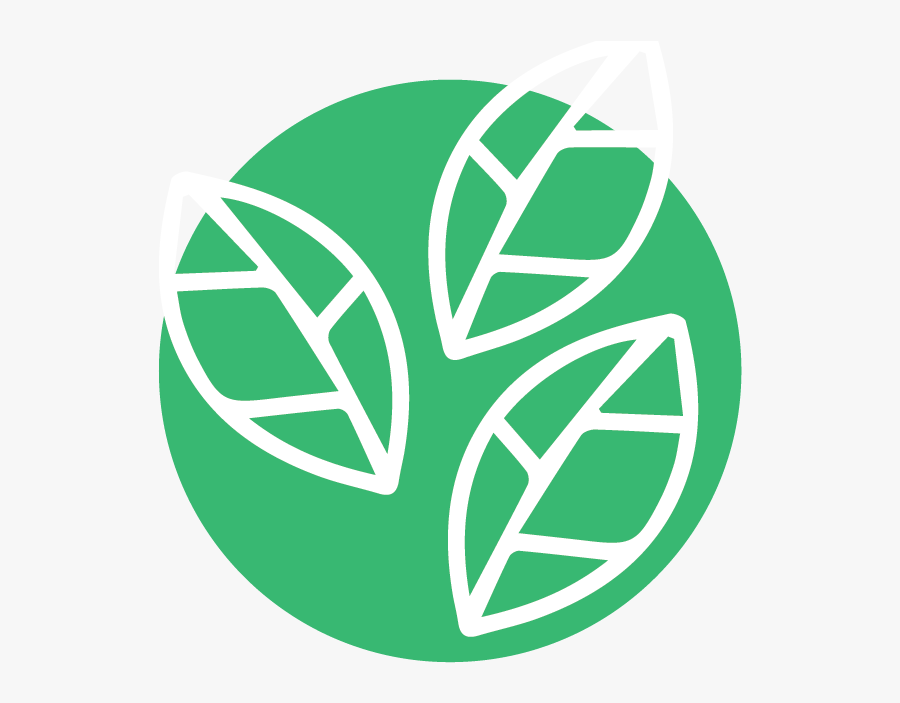 Circle, Transparent Clipart