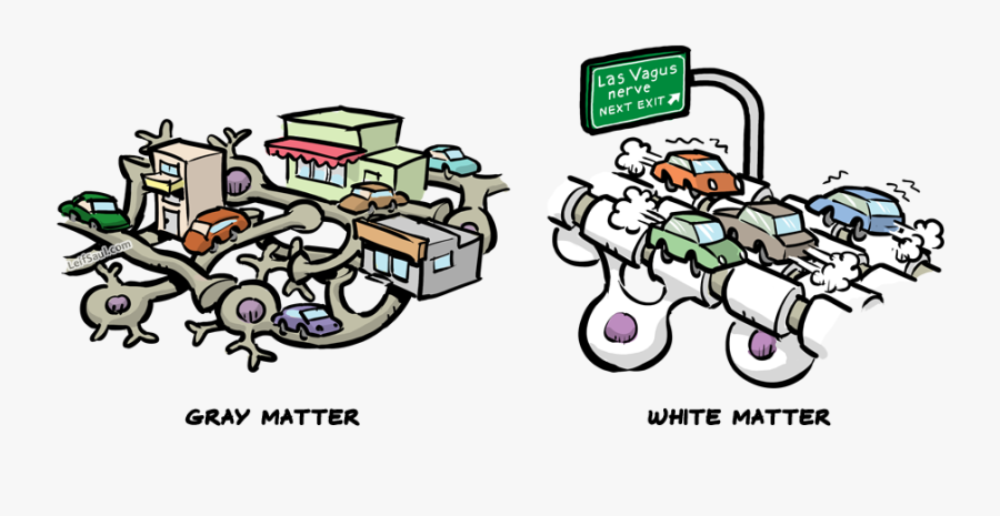 Gray And White Matter Is City And Highway - Cartoon, Transparent Clipart