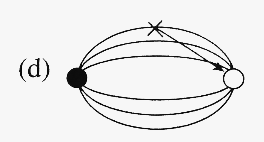 Line Art, Transparent Clipart