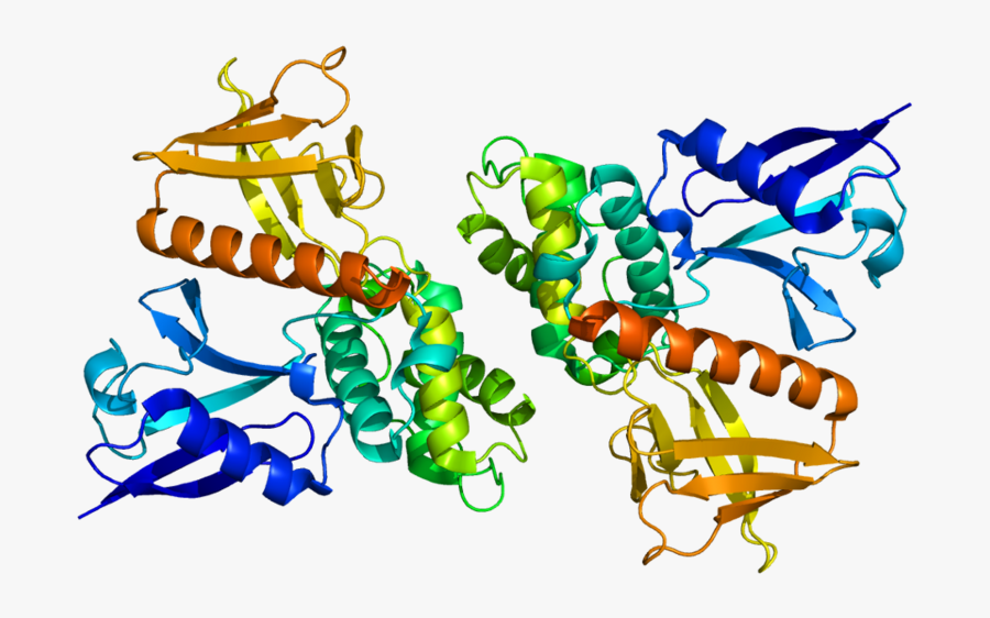 Ribbon Diagram Of Neurofibromin
“ Deleting Nf1 Protein - Merlin Protein Structure, Transparent Clipart