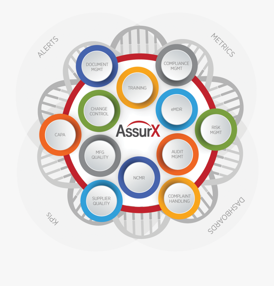 Quality Management And Regulatory Compliance Qms For - Circle, Transparent Clipart