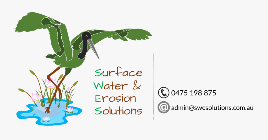 Ecaust - Pelecaniformes, Transparent Clipart