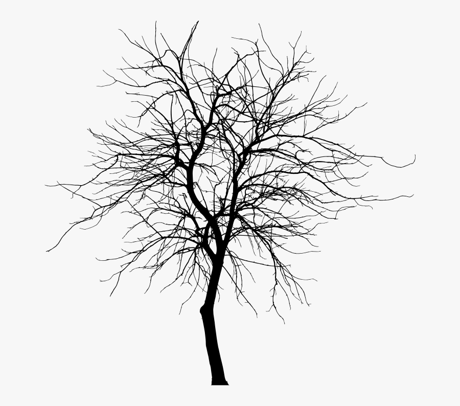 Skinny Scary Tree, Transparent Clipart