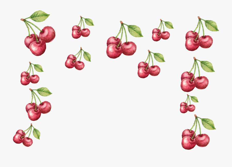 Frutti Di Bosco, Transparent Clipart