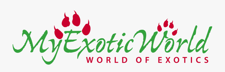 My Exotic World - Graphic Design, Transparent Clipart