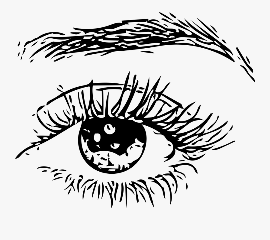 Eye, Eye Ball, Eyebrows, Human, Man, Woman, Eyes - Man Eyes Png, Transparent Clipart