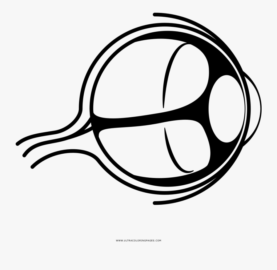 Eyeball Coloring Page - Circle, Transparent Clipart