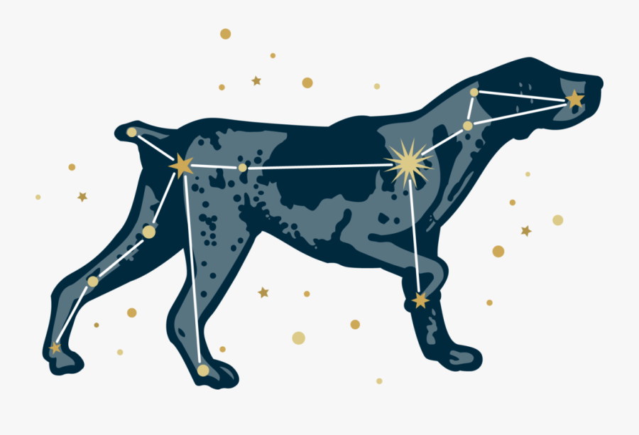 Dog, Transparent Clipart