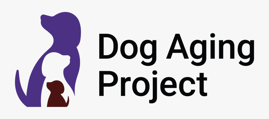 Logo, Transparent Clipart