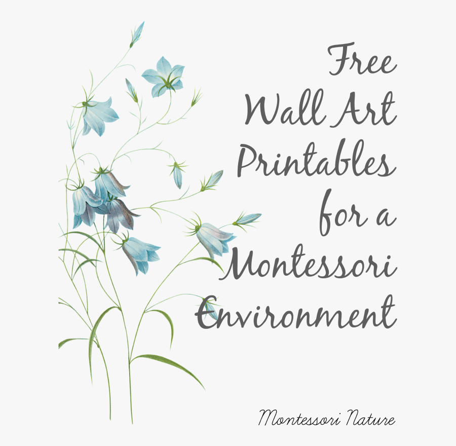 Montessori Classroom Wall Art, Transparent Clipart
