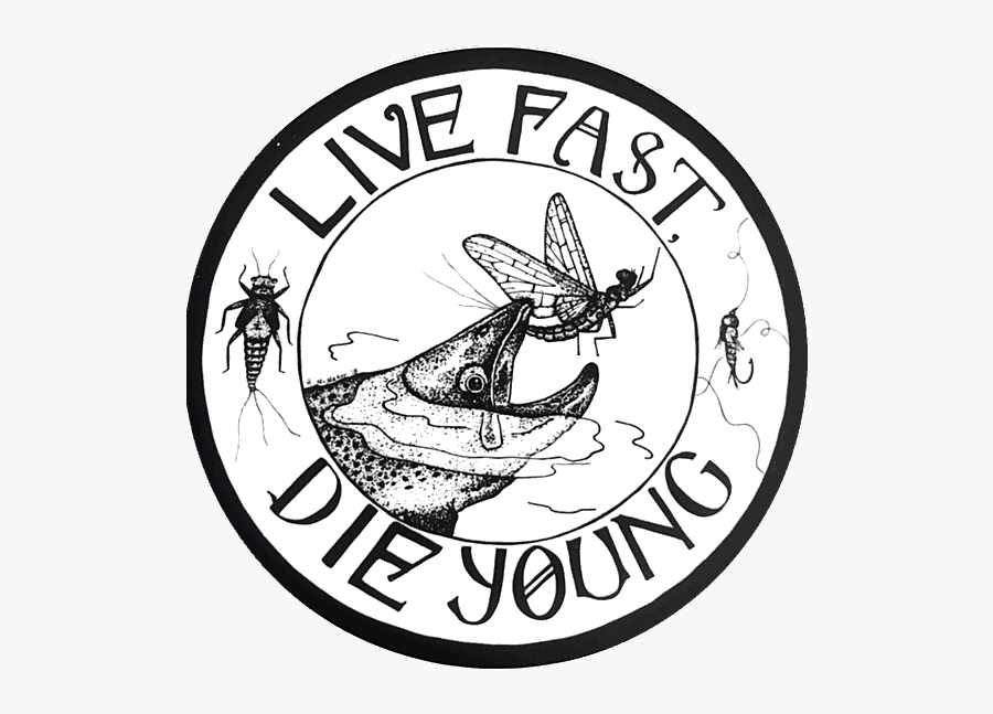Amy Mcmahon Live Fast Die Young Sticker - Cartoon, Transparent Clipart