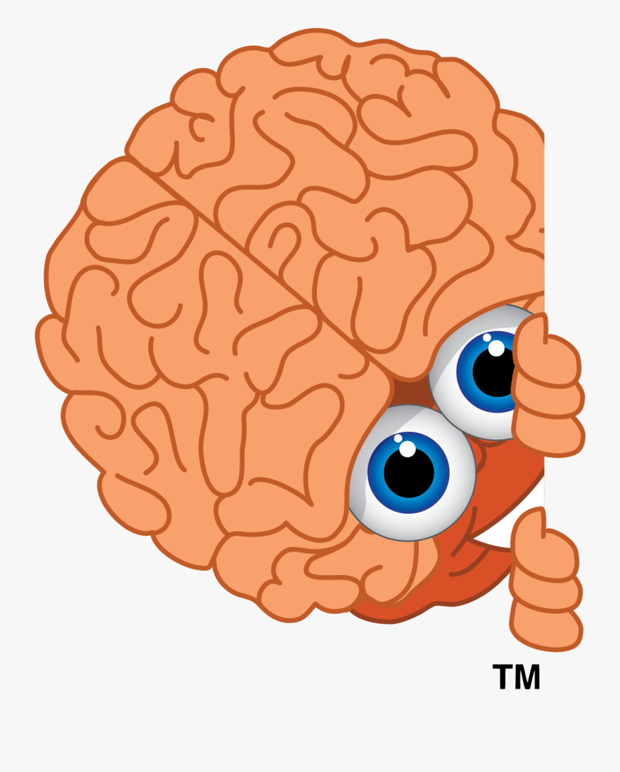 Lyle Wildes - Brain Clipart, Transparent Clipart
