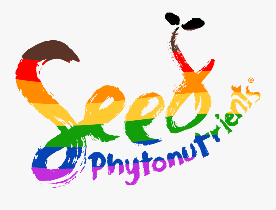 Graphic Design, Transparent Clipart