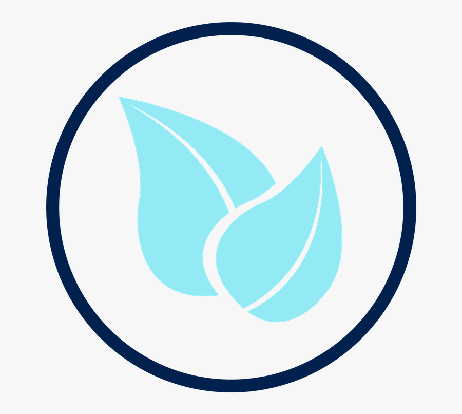 Circle, Transparent Clipart