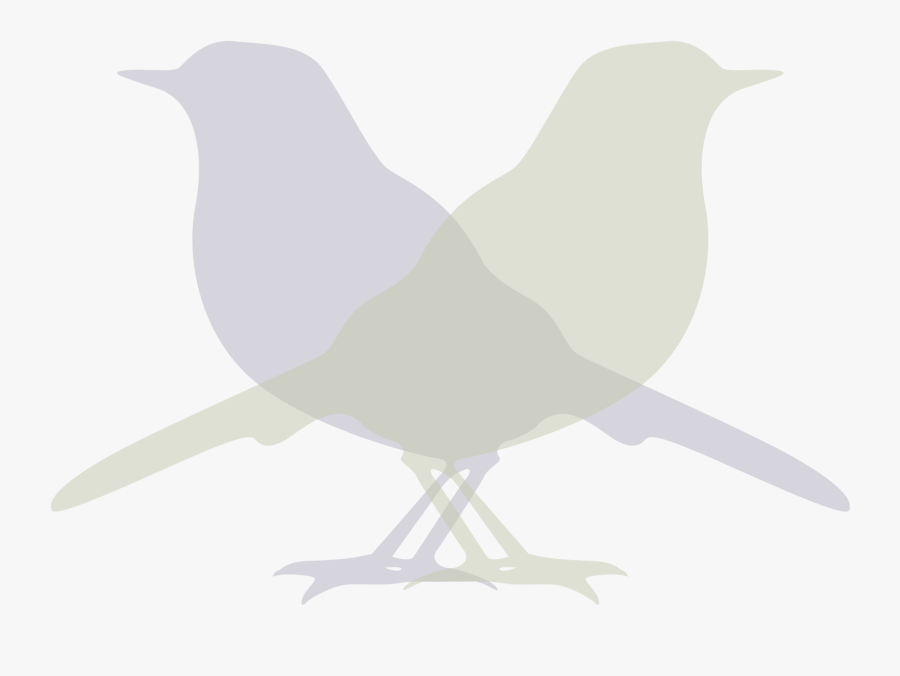 Perching Bird, Transparent Clipart