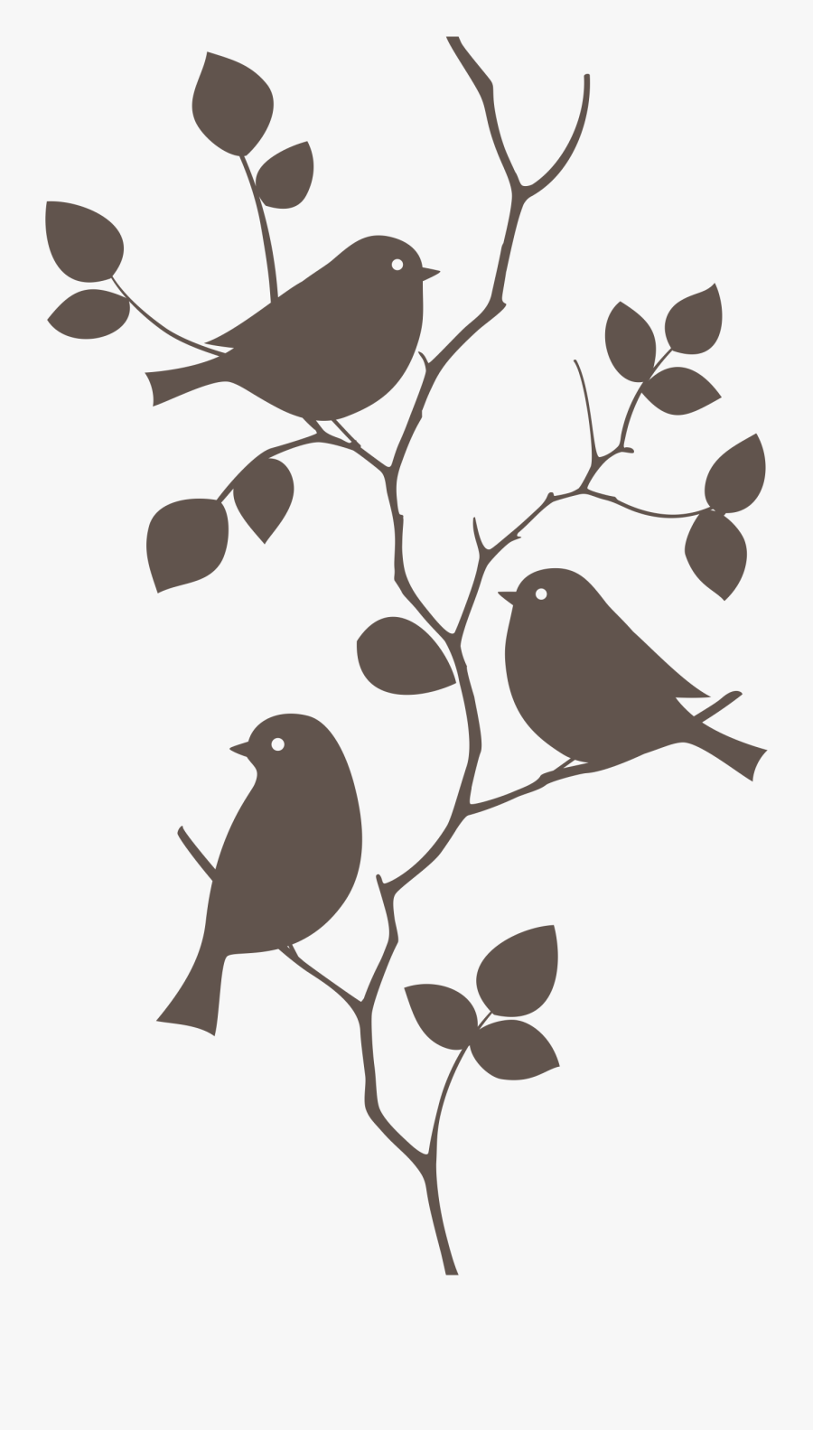 Bird Wall Decal Mural Sticker Vector Graphics - Wall Painting Of Birds, Transparent Clipart