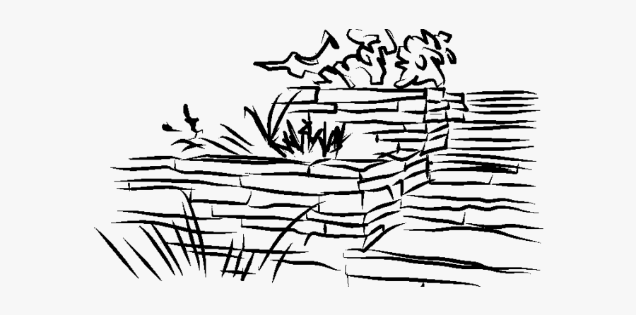 Line Art, Transparent Clipart