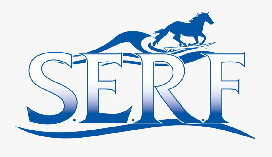 Stonewall, Texas Equine Rehabilitation And Fitness - Stallion, Transparent Clipart