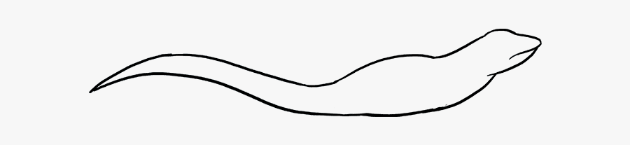 How To Draw Lizard - Line Art, Transparent Clipart