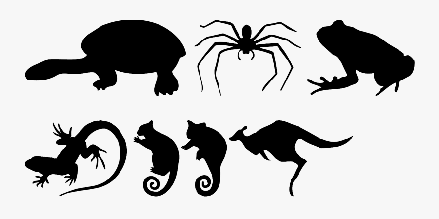 Lizard Insect Silhouette Black Clip Art - Weevil, Transparent Clipart