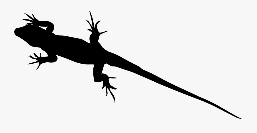 Lizard Silhouette Png, Transparent Clipart