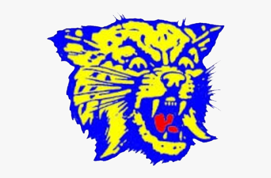 Hobart Bearcats, Transparent Clipart