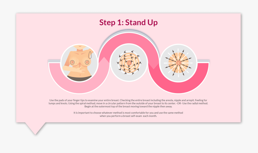 Circle, Transparent Clipart