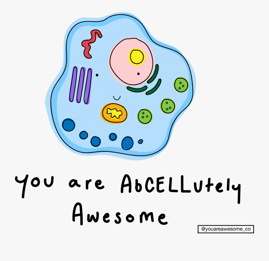 Clip Art, Transparent Clipart