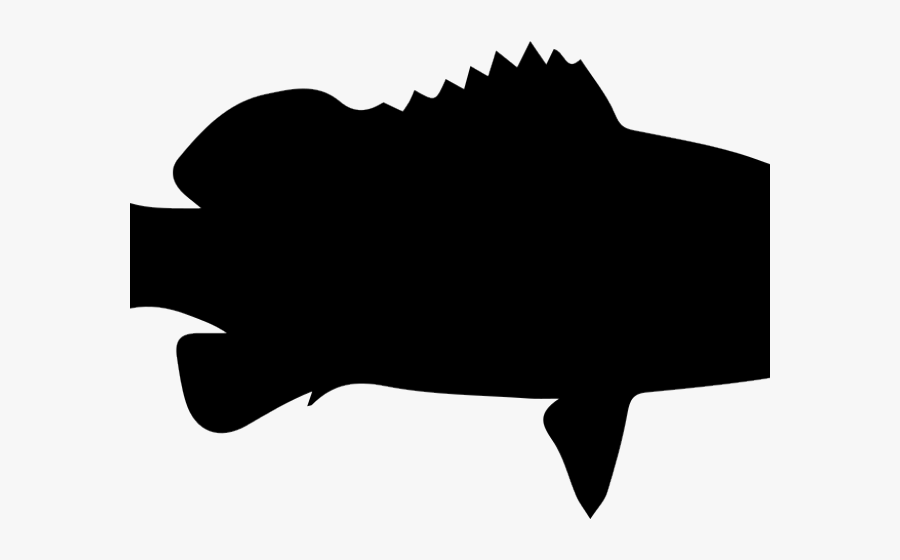 Portable Network Graphics, Transparent Clipart