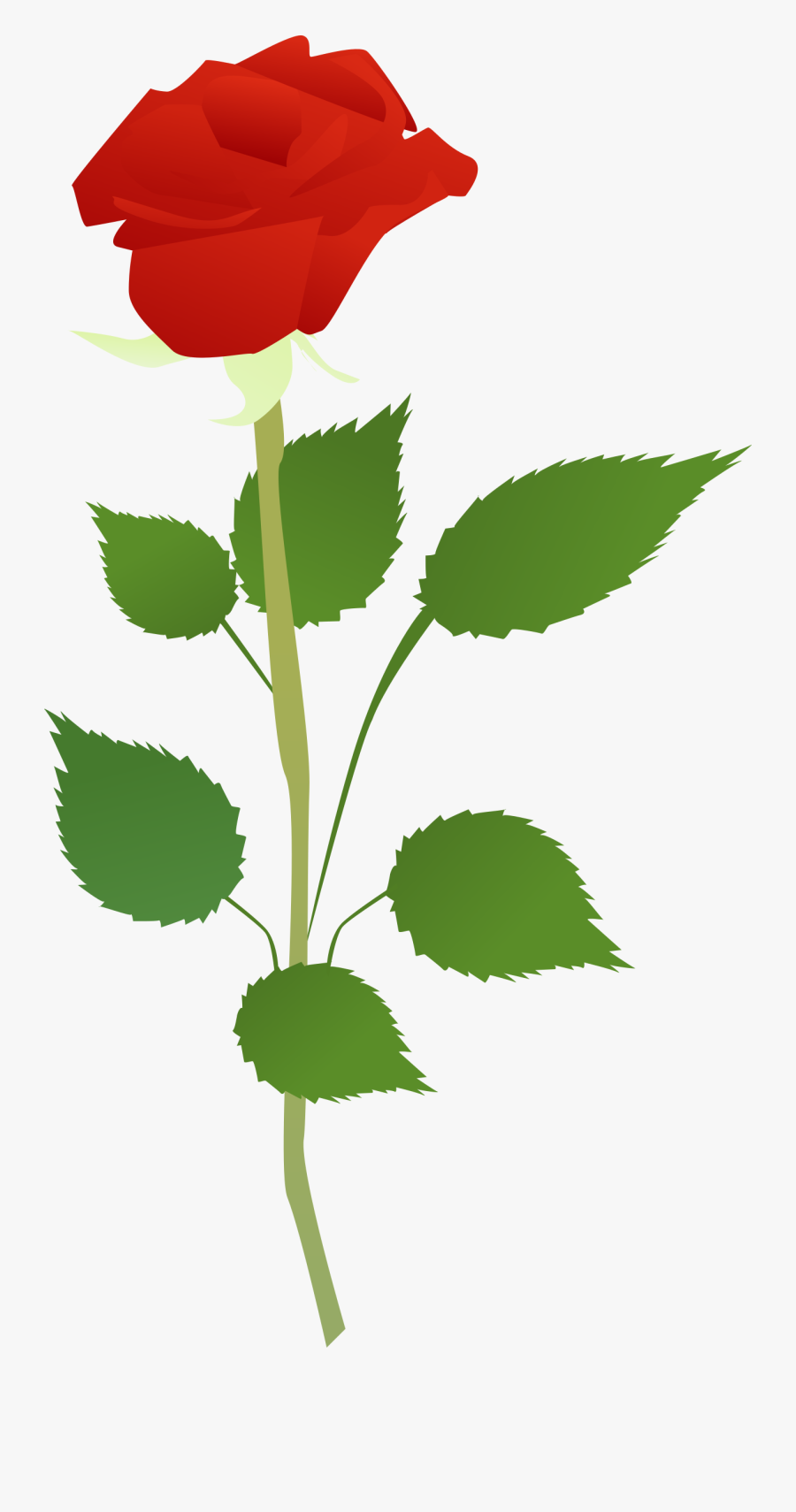 Flower Big Image Png - Clip Art, Transparent Clipart