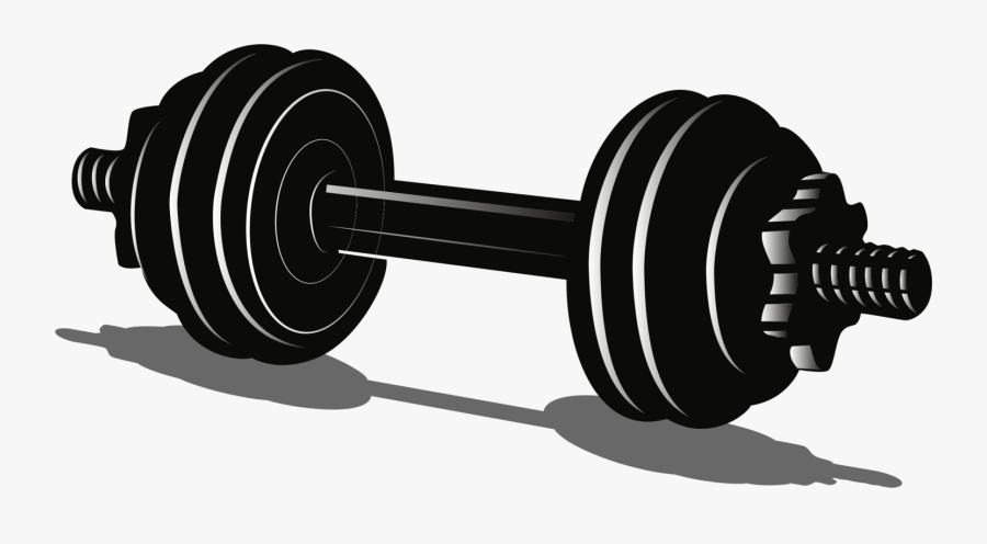 Wheel,weight Training,exercise Equipment, Transparent Clipart