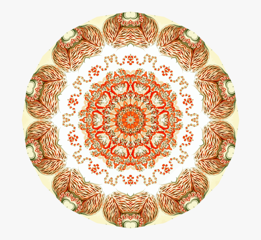 Plate,tableware,dishware, Transparent Clipart