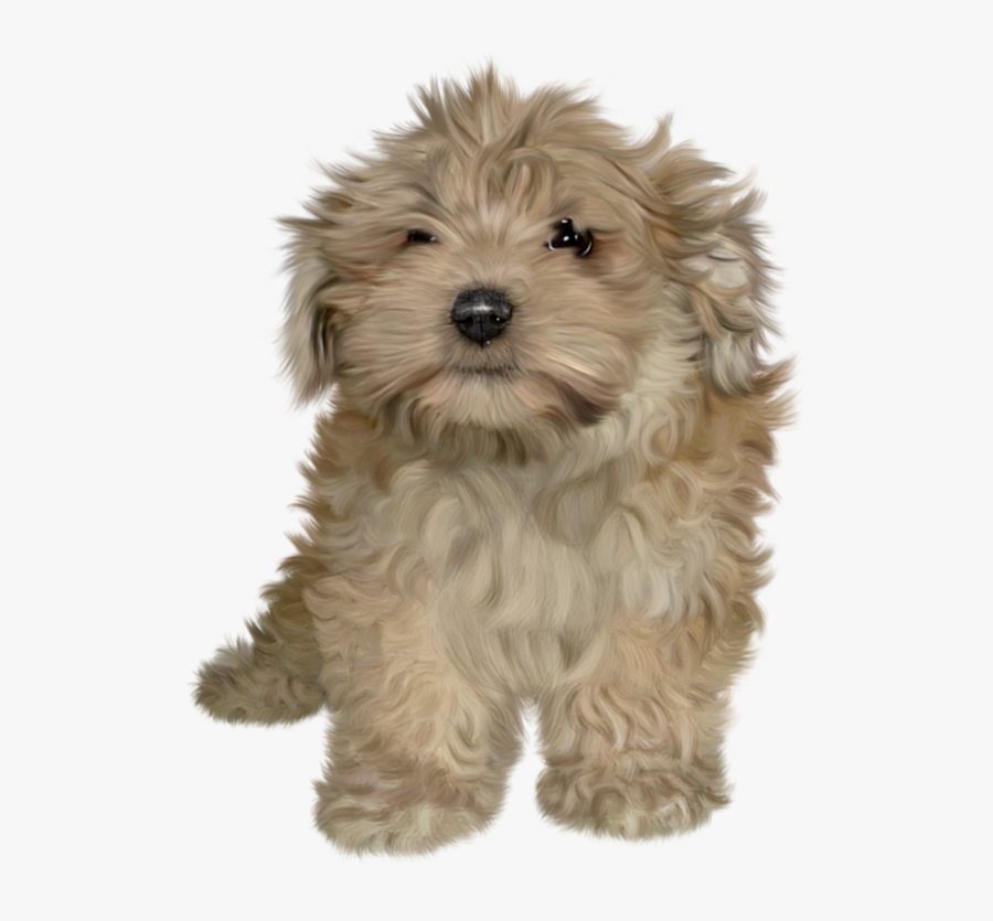 Dog Png Fluffy, Transparent Clipart