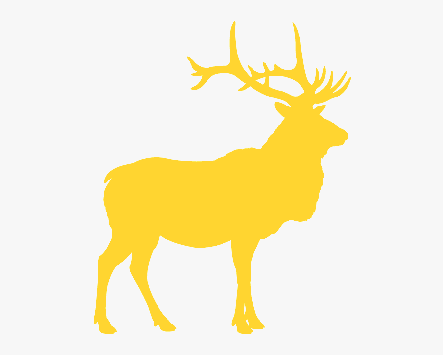 Elk Head Clipart, Transparent Clipart