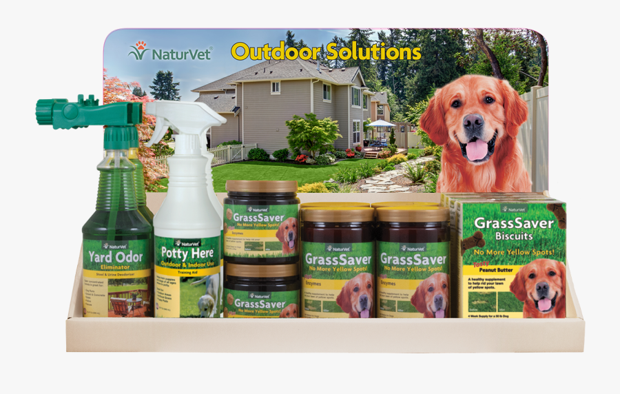 Transparent Yard Png - Golden Retriever, Transparent Clipart