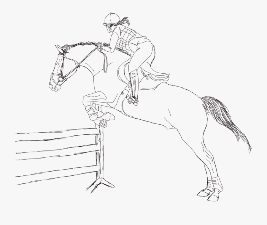 Speed Horse Line For - Line Art Jumping Horse Transparent, Transparent Clipart
