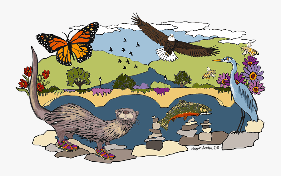 Roadraceart - Hawk, Transparent Clipart