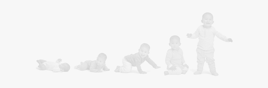 Butterfly, Transparent Clipart