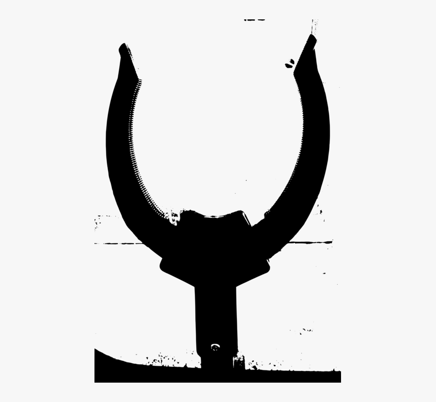 Photography, Transparent Clipart