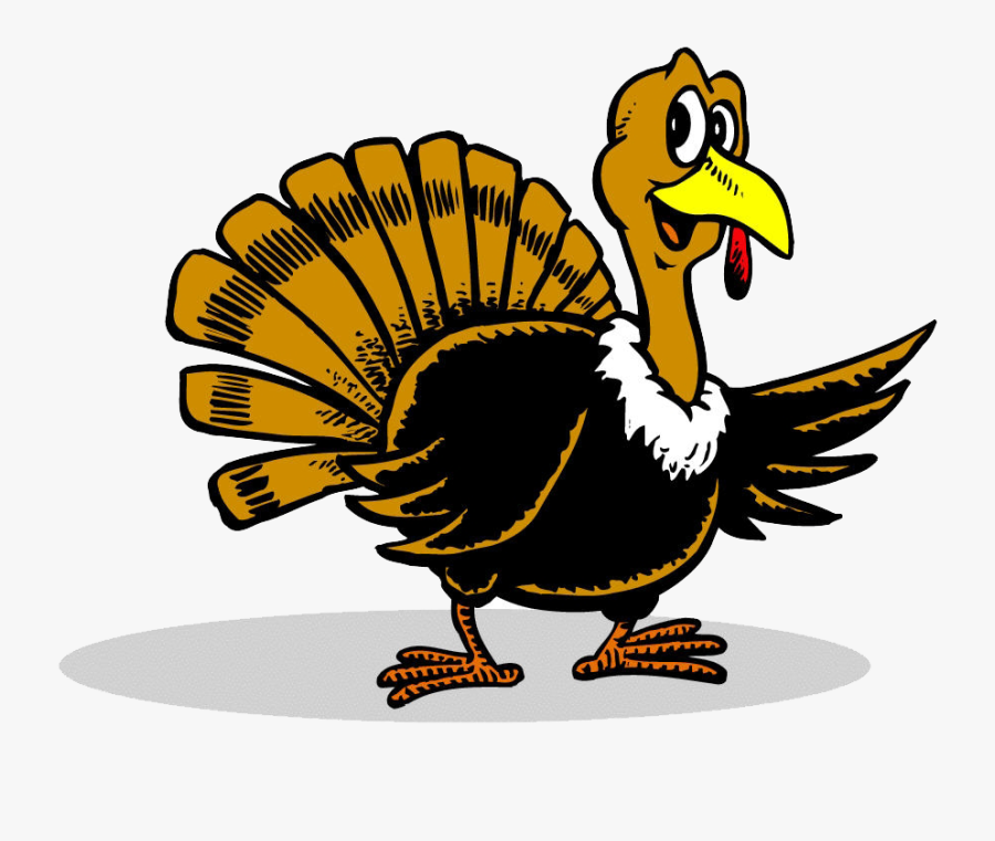 Thanksgiving Sports Camp In Tampa Florida, Transparent Clipart
