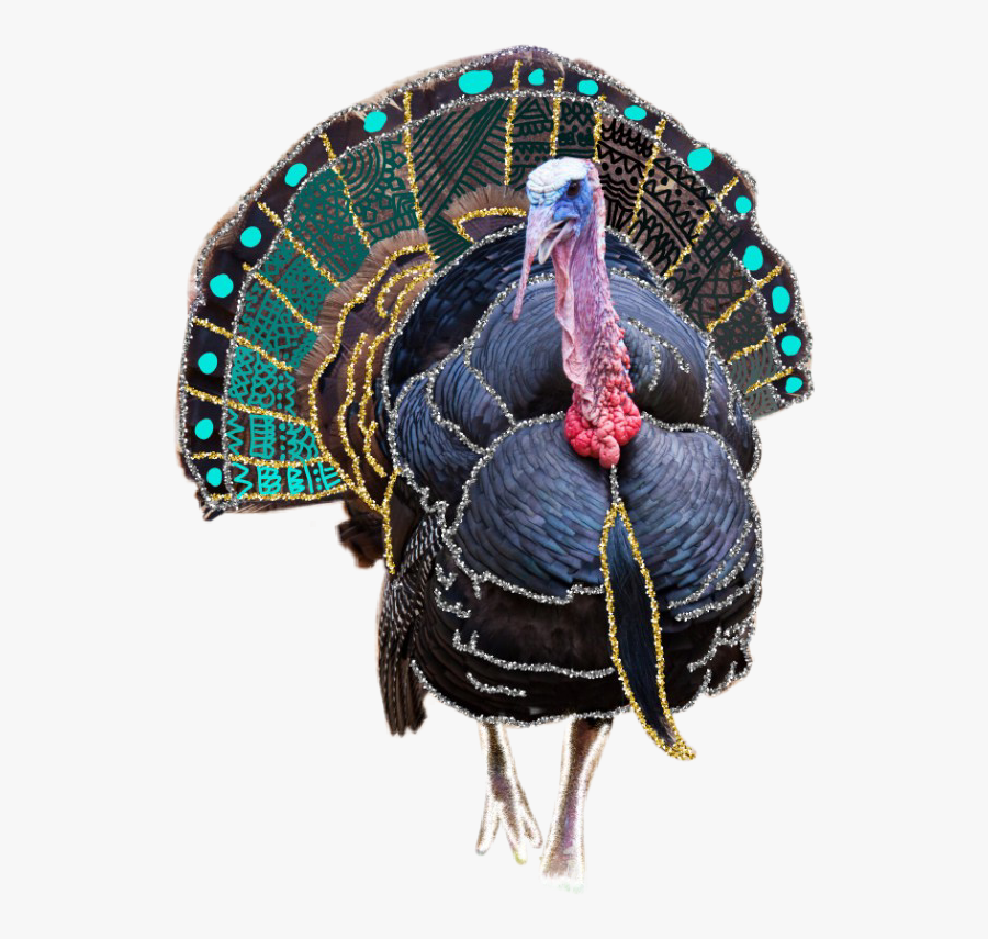 Transparent Tavuk Clipart, Transparent Clipart