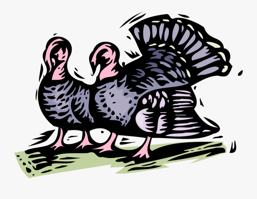 Vector Illustration Of Wild Turkey Christmas Or Thanksgiving, Transparent Clipart