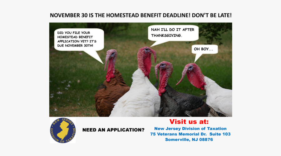 Wild Turkey Clipart, Transparent Clipart