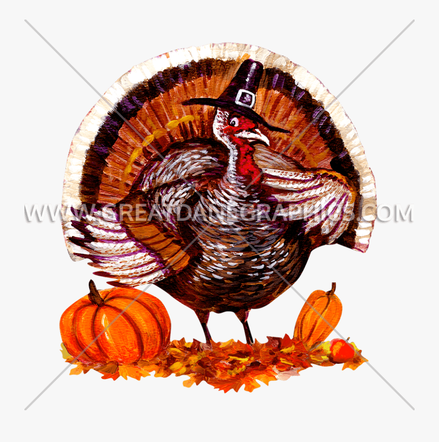 Fat Turkey Production Ready - Wild Turkey, Transparent Clipart