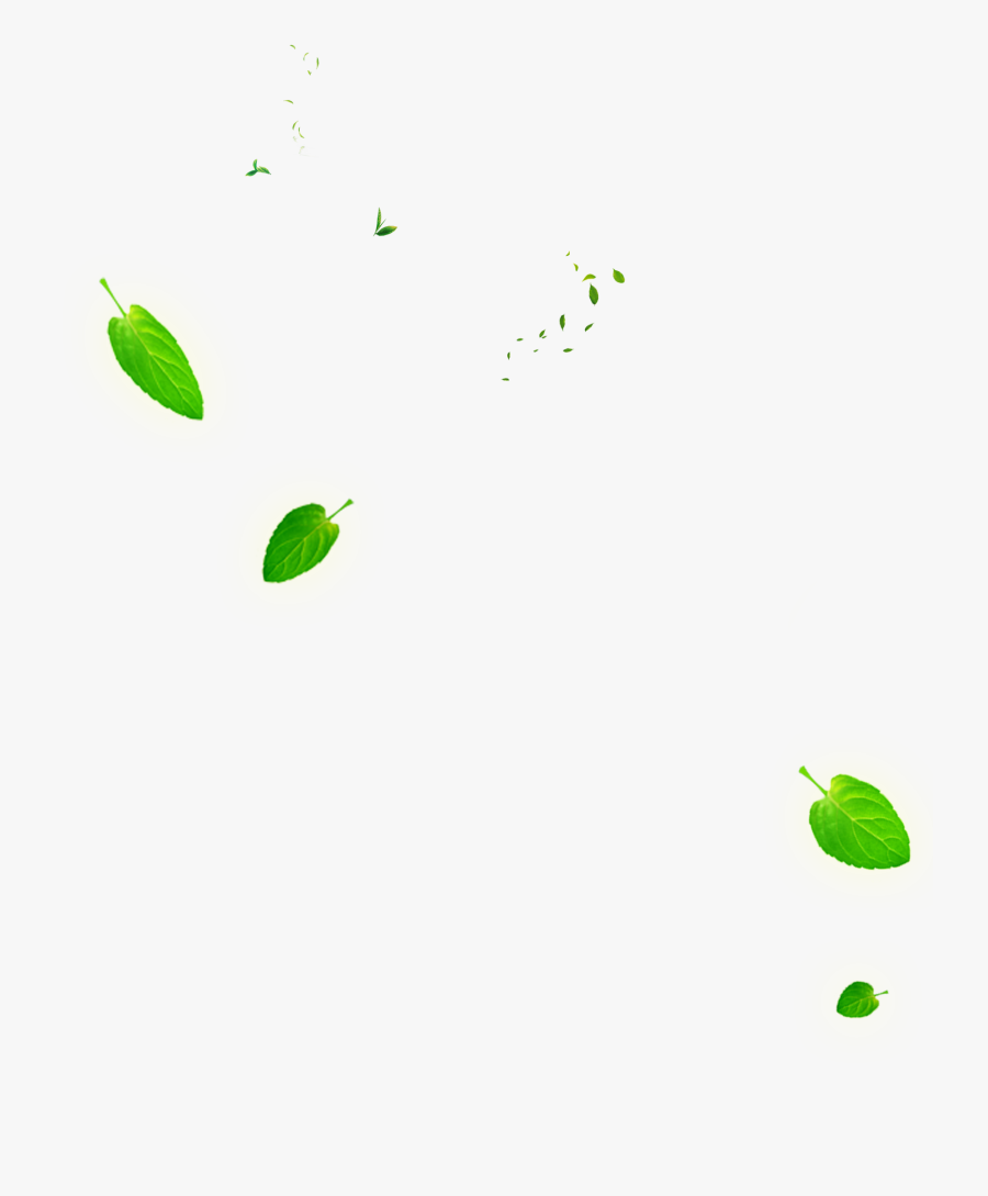 Leaf Green Euclidean Vector - 树叶, Transparent Clipart