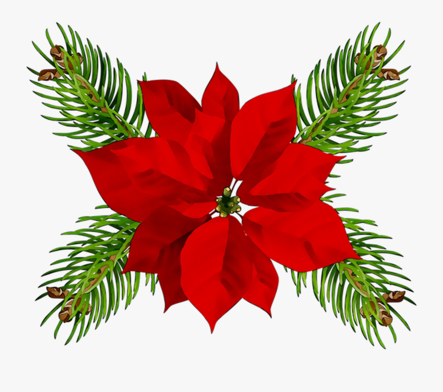 Poinsettia Christmas Day Christmas Ornament Portable - Christmas Art Png Transparent, Transparent Clipart
