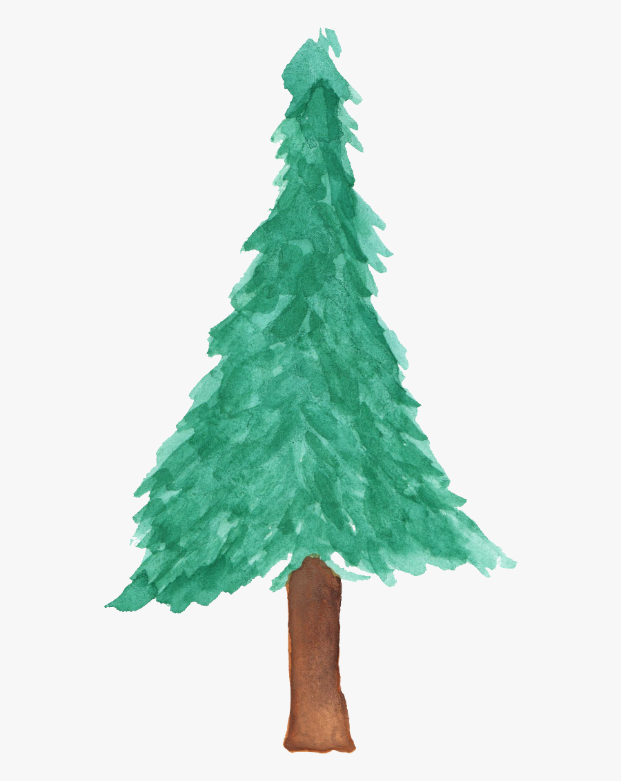 Pine Watercolor Png - Water Color Christmas Tree Png, Transparent Clipart